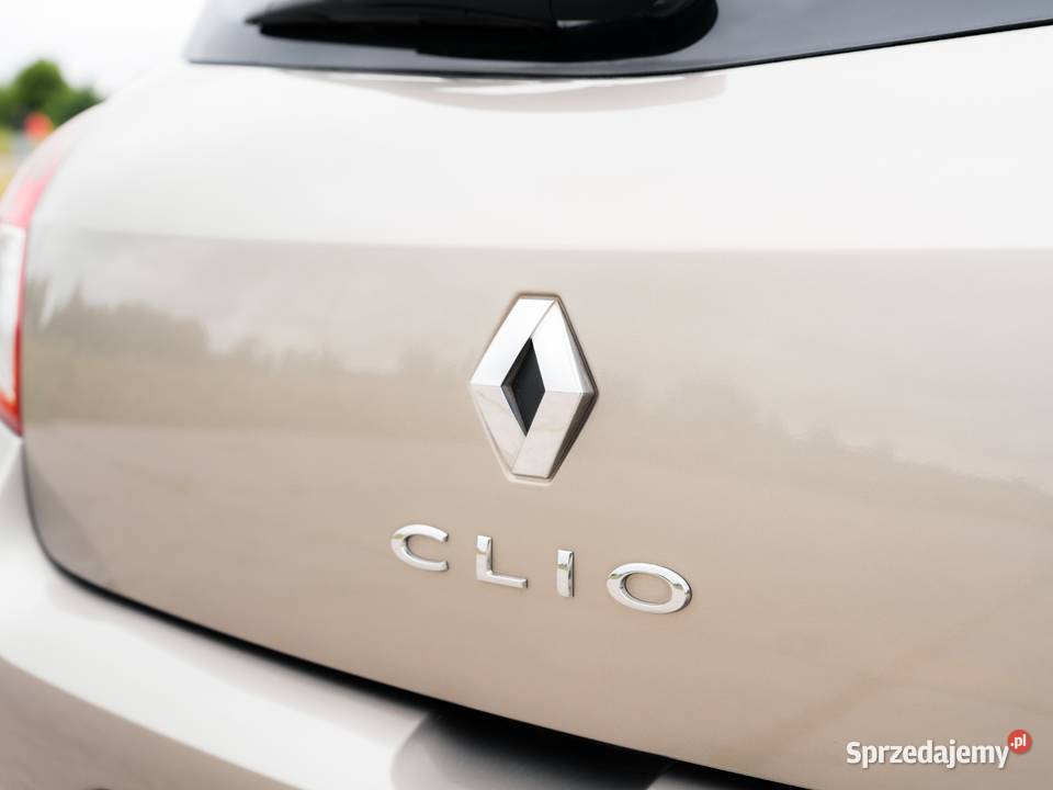 Renault Clio 2010 Niski Przebieg 123 oszczędny Gronowo Górne