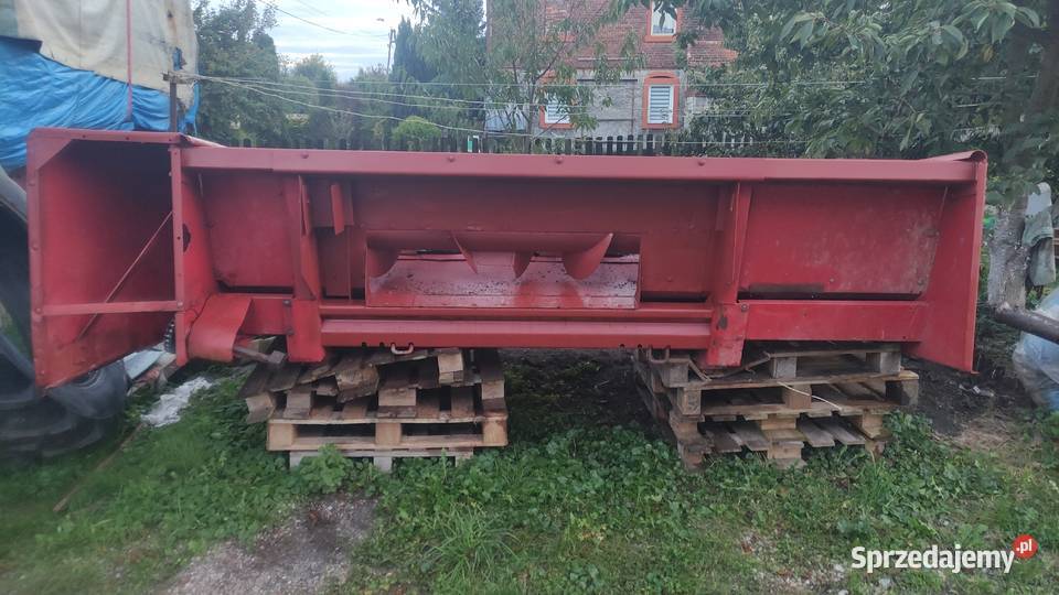 Heder do kukurydzy International 843f 4 rzędowy