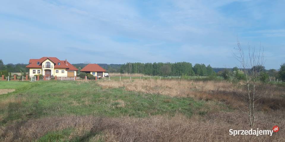 Twoje miejsce na dom wśród zieleni Koźla 2400 m