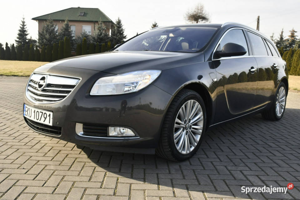 Opel Insignia 20D DUDKI11 łódzkie Kutno