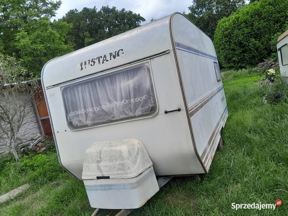 Przyczepa kempingowa Knaus Mustang lubuskie Krosno Odrzańskie