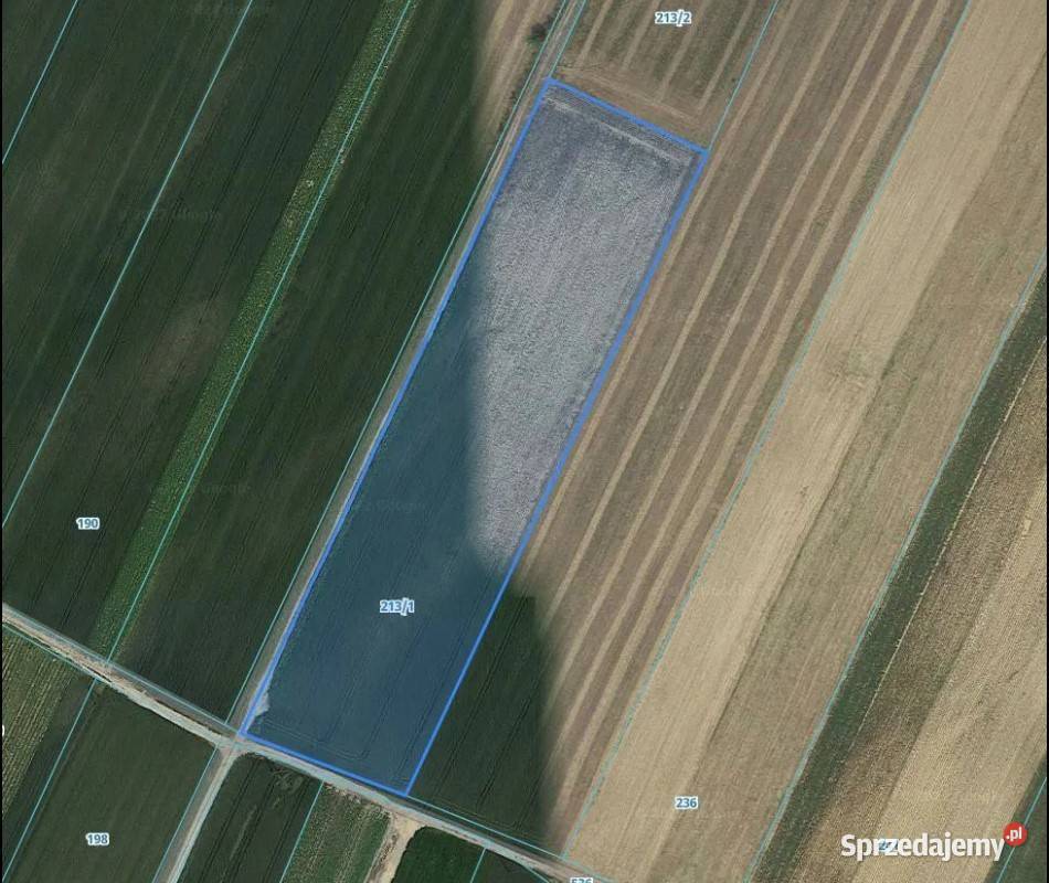Działka Budowlana 2164 m2 MEDIA Siekierowice dolnośląskie sprzedam