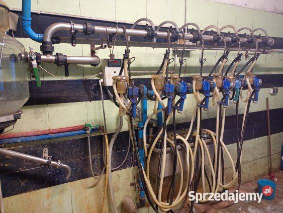 Sprzedam dojarkę do mleka Kamińskie