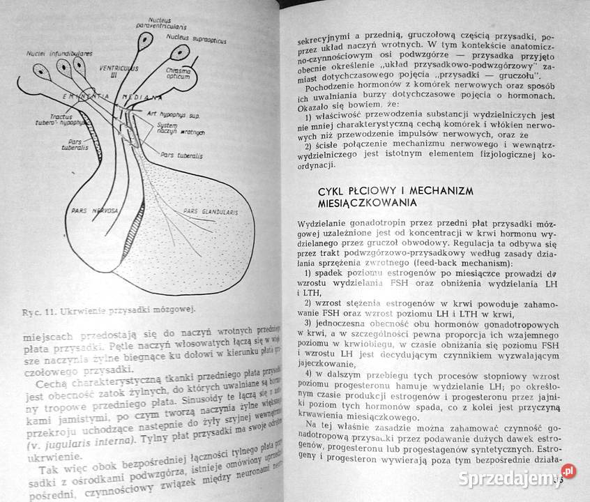 Zaburzenia cyklu miesiączkowego Janusz Okła Chełm