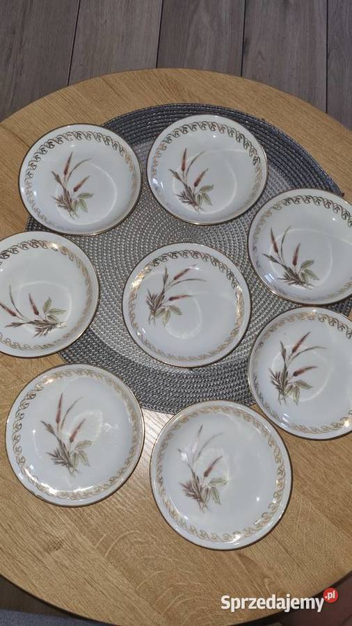 Miseczki salaterki Limoges wielkopolskie Wola Podłężna sprzedam