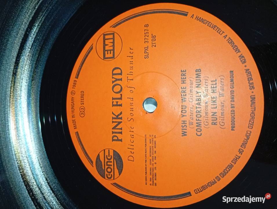 Pink Floyd Delicate Sound Of Thunder Hungary rock pomorskie Rumia