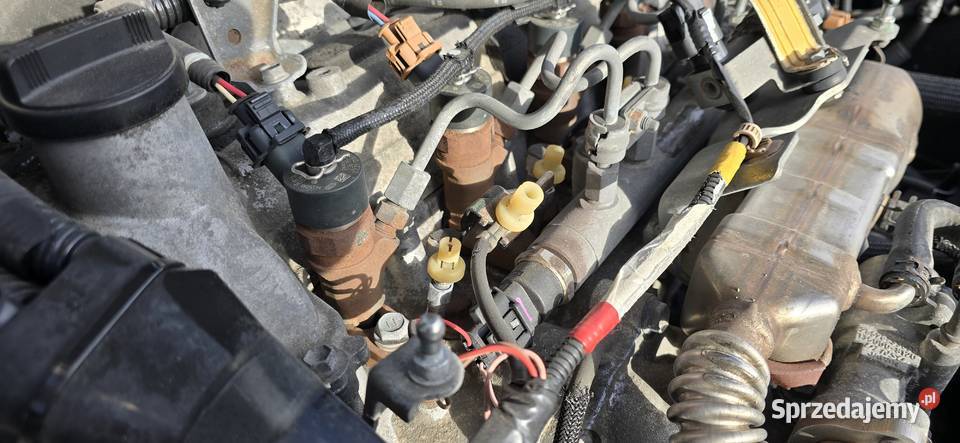 Toyota Corolla Salon Pierwszy Lakier Mały Rok produkcji 2005