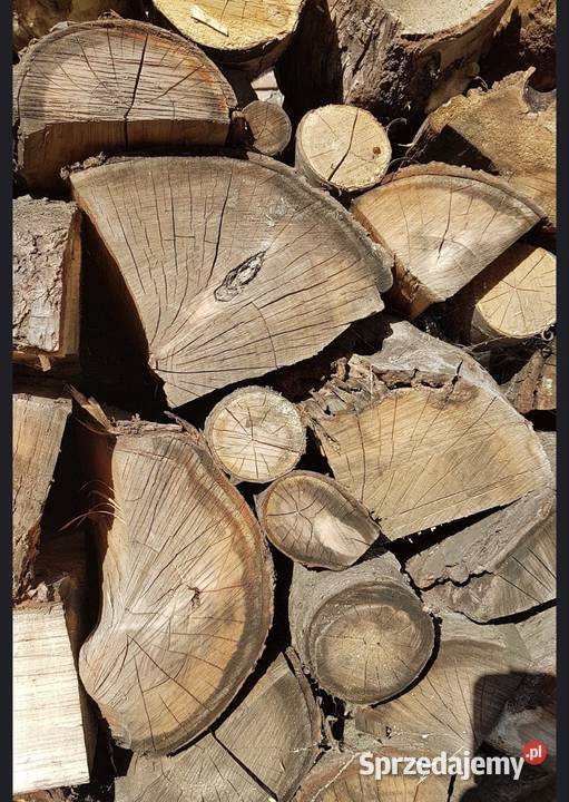 Drewno kominkowe i opałowe zachodniopomorskie Kobylanka