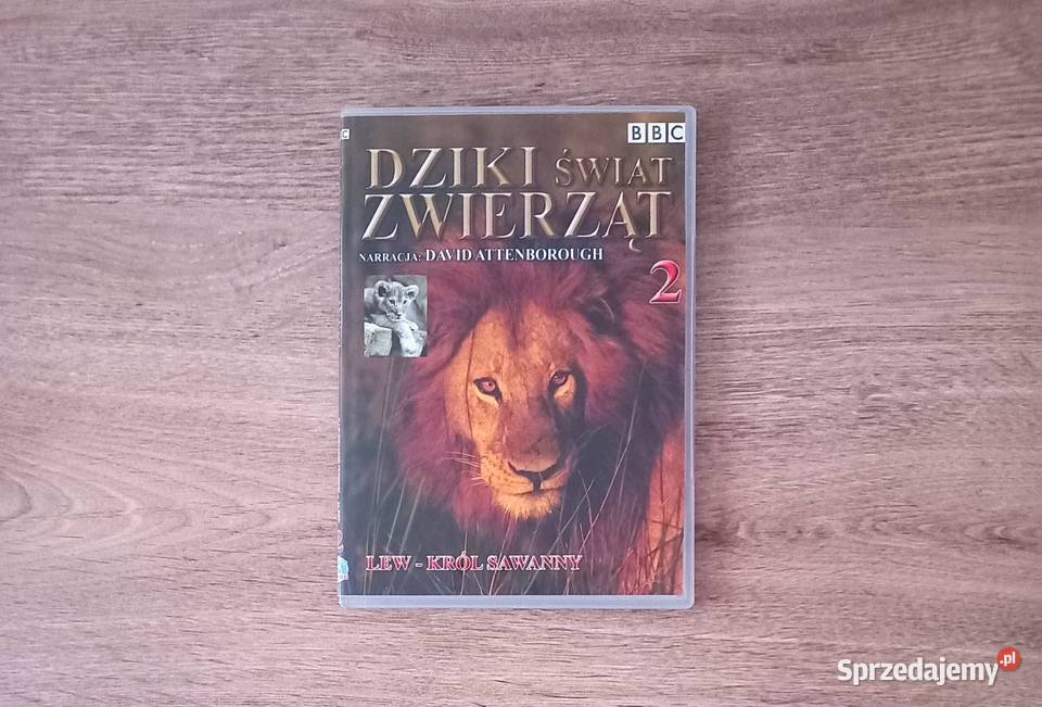 Edukacja Lew Orka i inne seria BBC Dziki świat Kraków