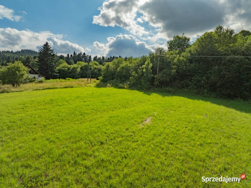 Siedlisko Pisarzowa prawie 5 ha utwardzona