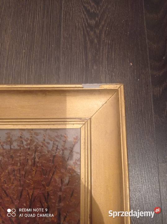 Obraz na sklejce w złotej ramie 67 x 545 Szczecin