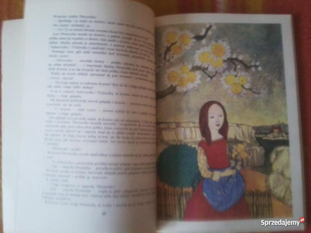 Baśnie Braci Grimm Kolorowe ilustracje