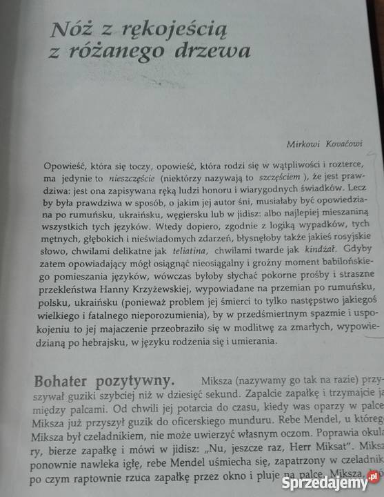 Grobowiec Borysa Dawidowicza siedem rozdziałów D Gdańsk