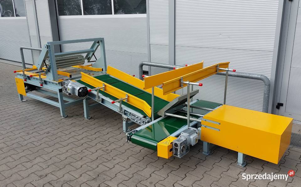 Paletyzator Paletyzer Zrobotyzowana paletyzacja Gorzów Wielkopolski