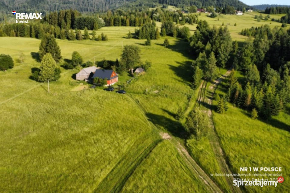 Górskie siedlisko 25 ha z widokiem na Muńcuł 40zł/m2 śląskie Glinka
