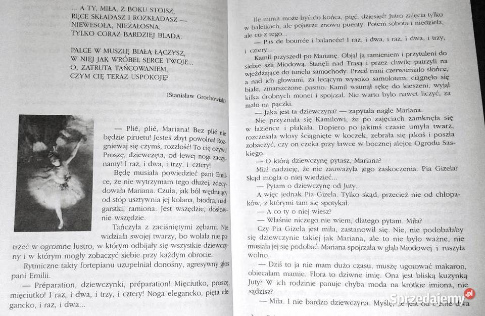 Dziewczyna Mistrza Gry Krystyna Siesicka sprzedam