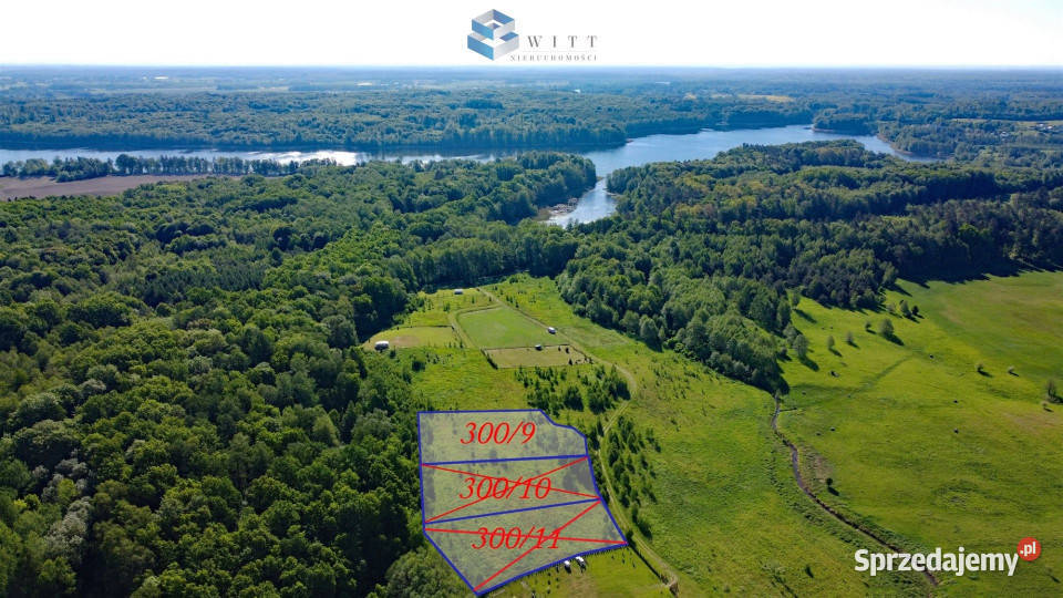 Grunt Dziśnity 2942m2 gaz Sprzedaż sprzedam