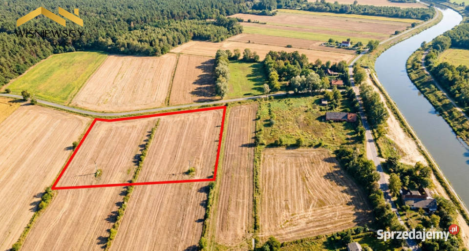 115 ha pod siedlisko w Nowakowie Nowakowo