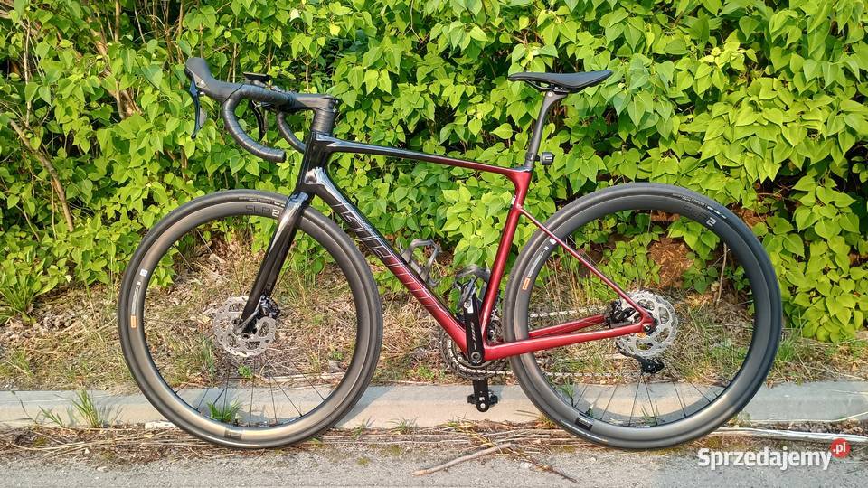 Giant Defy 2 Pro M Piekary Śląskie