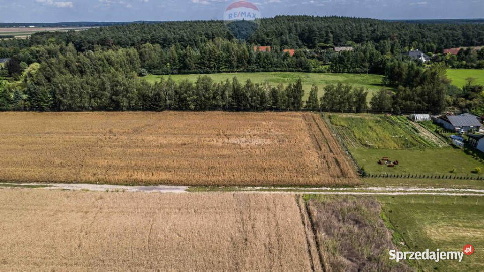 Kicin kPoznania3007 mKapitał rosnący w ciszy polna