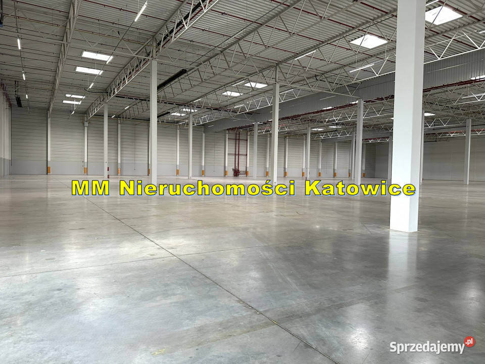 Hale do wynajęcia do 13000 m2 Ruda Śląska A4 0 parking sprzedam