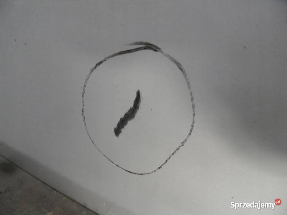 VOLKSWAGEN CADDY III 09r drzwi lewe tył Drzwi