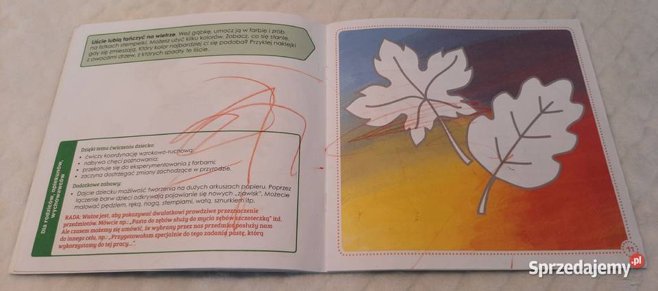 Ćwiczenia 2latka Domowa Akademia Zielona Sowa Książki dla dzieci Czeladź