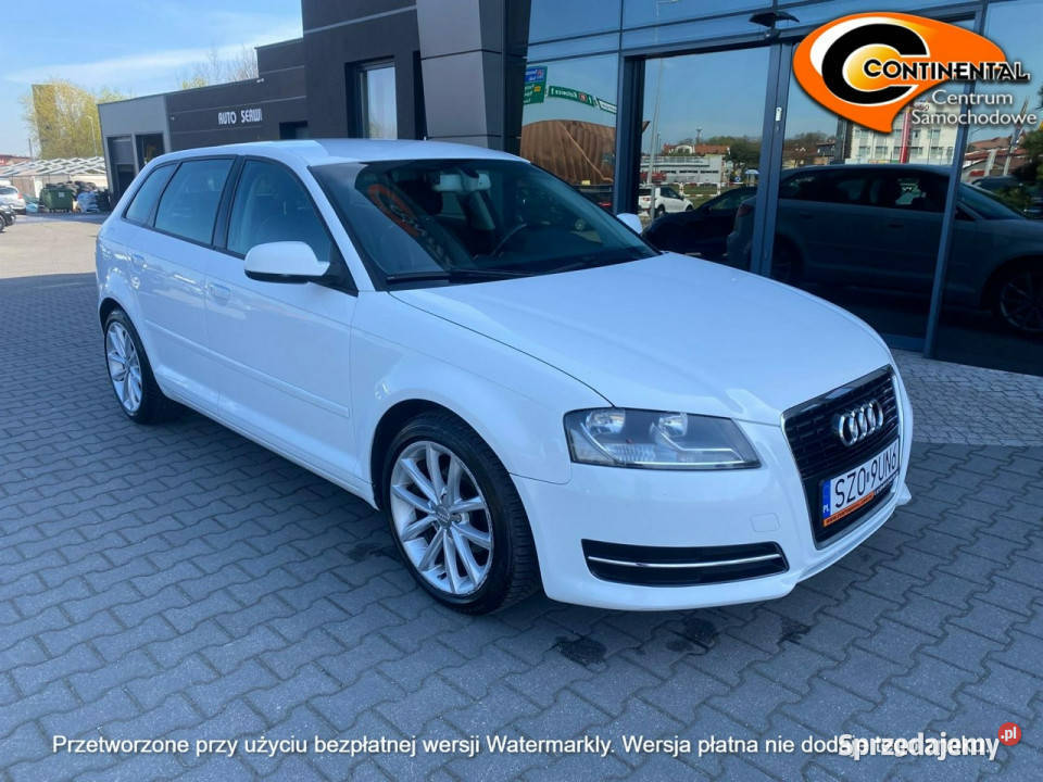 Audi A3 Sportback Skórzana tapicerka 8P 20032012 śląskie