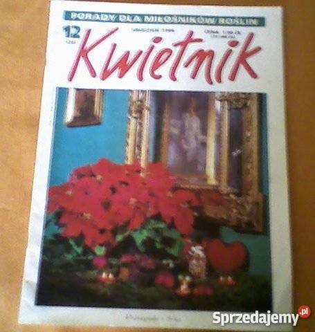 Czasopismo Kwietnik kilka egzz 1995 i 1996r Rok wydania 1995 łódzkie Łódź sprzedam