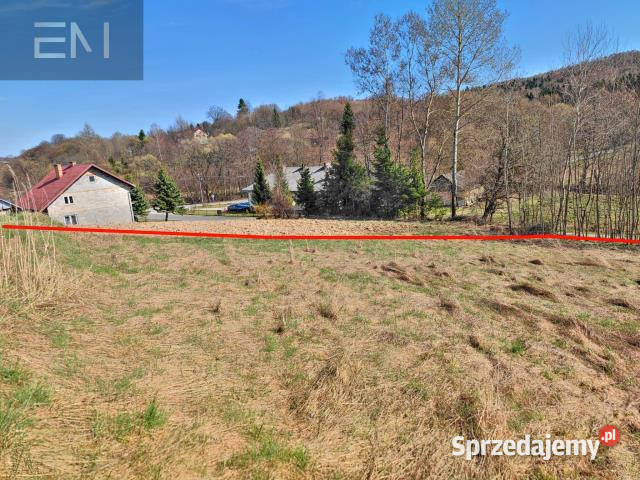 sprzedaży gruntu Wesoła 2500m2 Sprzedaż