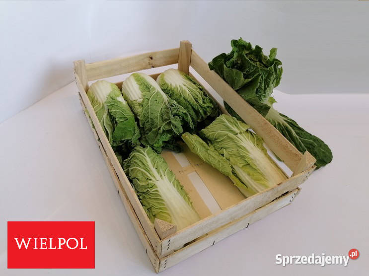 Sprzedam skrzynki drewniane z łuszczki Skrzynki i opakowania Wielichowo