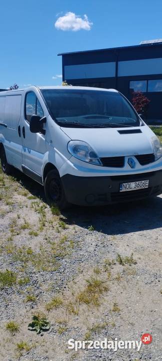 Renault trafic Braniewo