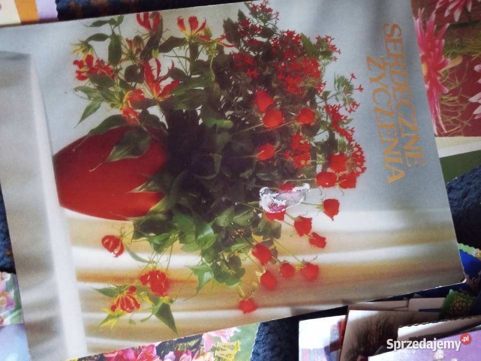 Pocztówki kolekcjonera PAKIET MIX 160 Pocztówki i karty telefoniczne zachodniopomorskie sprzedam