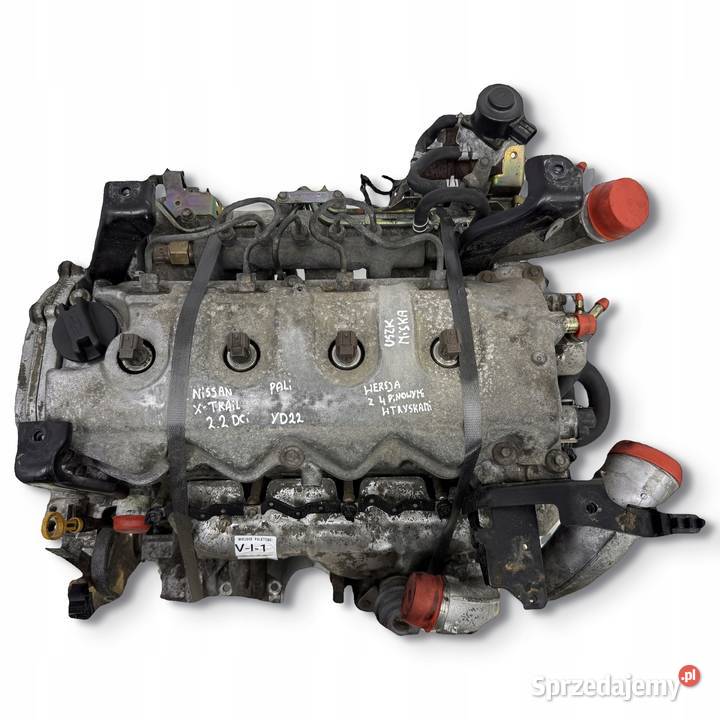 SILNIK Nissan XTrail Primera P12 22 DCI 136 4 osobowe lubelskie Chełm