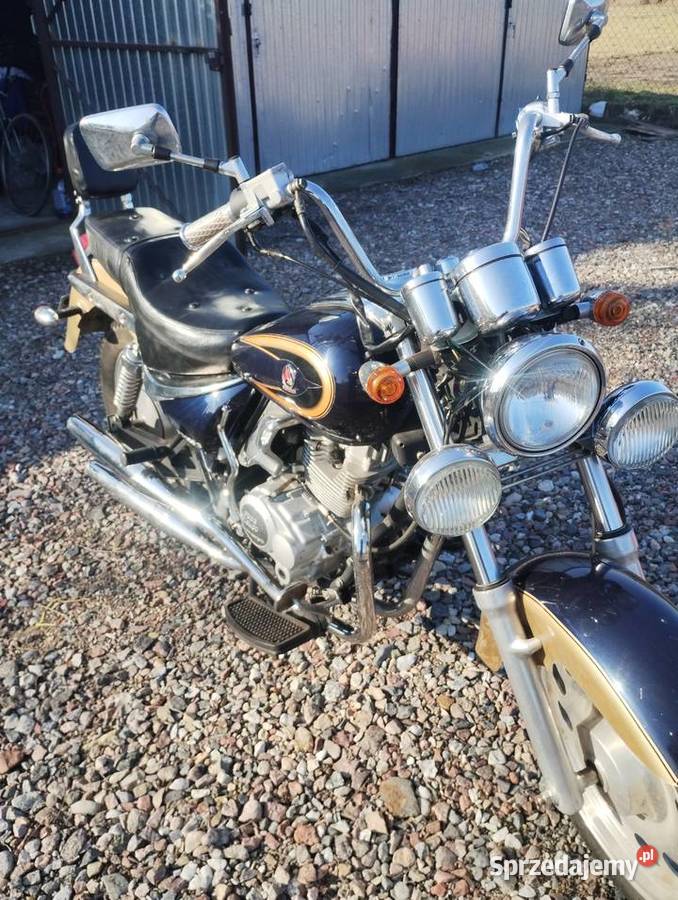 Wektor 150 chopper Sochaczew