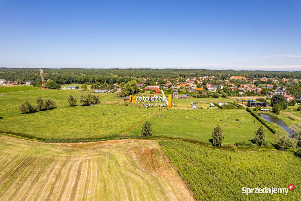 Sprzedaż gruntu 23900m Stegna asfalt