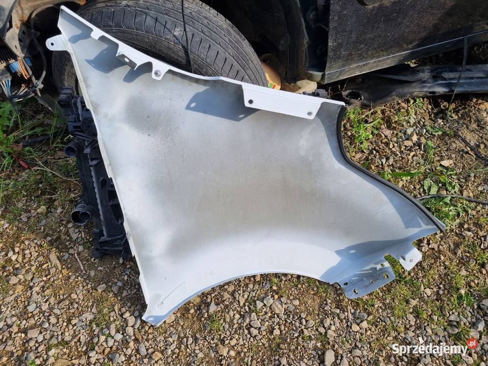 Renault Master III 3 Opel Movano B Błotnik Lewy małopolskie Skawina