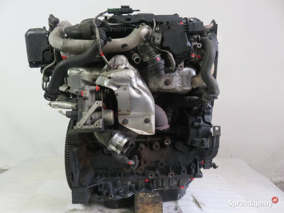 SILNIK FORD S 22 TDCi KNWA KOMPLETNY osobowe Silniki kompletne małopolskie