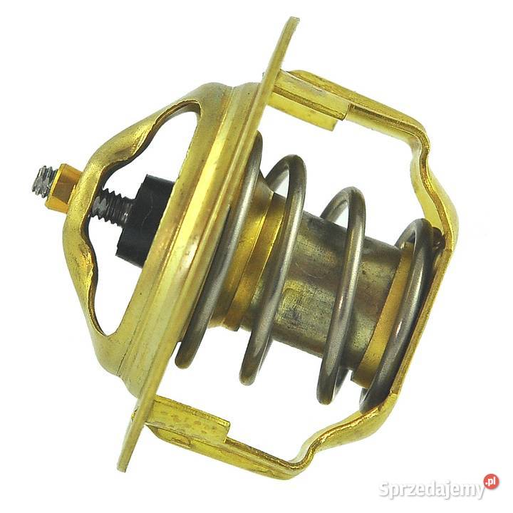 Termostat 54 mm 765C Iseki E3AD1E3AG1E3CDE3112 podkarpackie Tajęcina