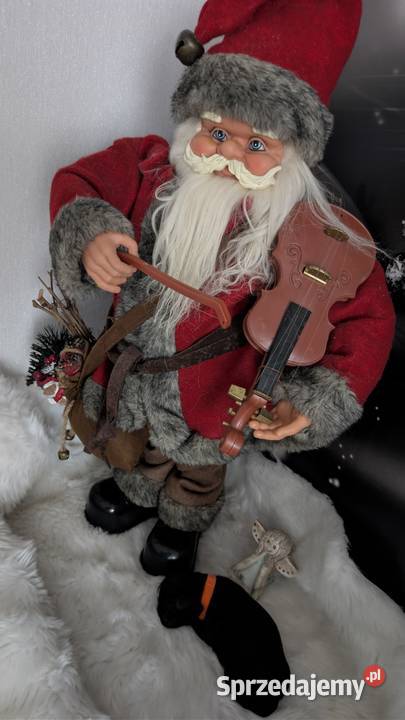 Szczenięta shih tzu Zawiercie