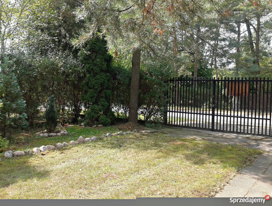 Leśna działka z domkiem Błędowo kPomiechówka 99zł/m2 Błędowo