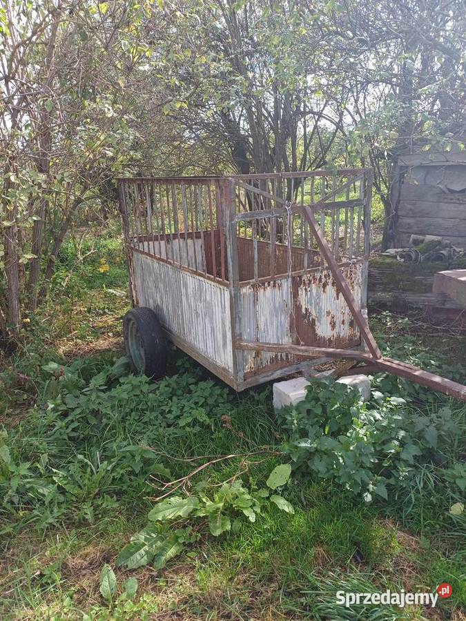 Wózek Zastów Karczmiski