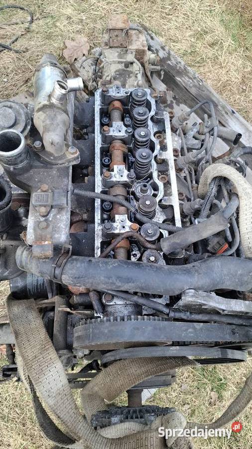 Hyundai h1 25tdi silnik Hutki sprzedam