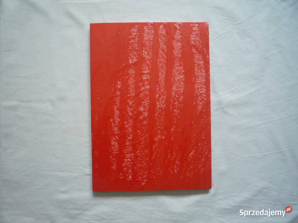 Papier kolorowy ksero A4 mix intensywny 100 Artykuły szkolne Szczecin