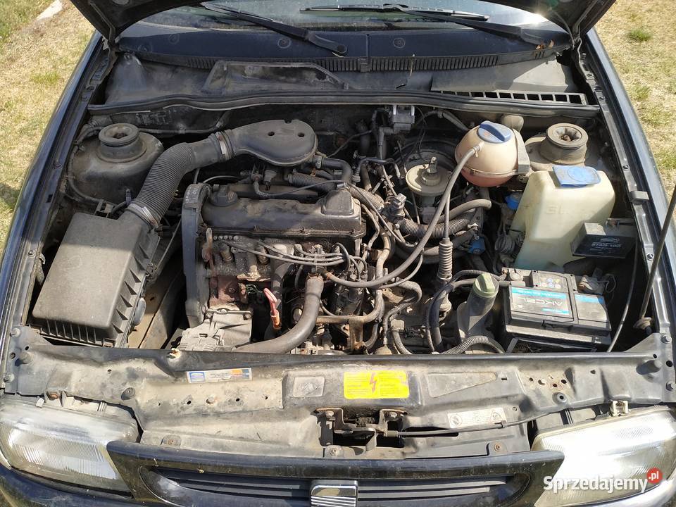 Seat Ibiza 97 r 16 bg 75KM Kozioł