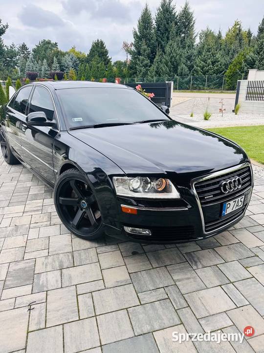 Zarejestrowany 42 V8 Turek