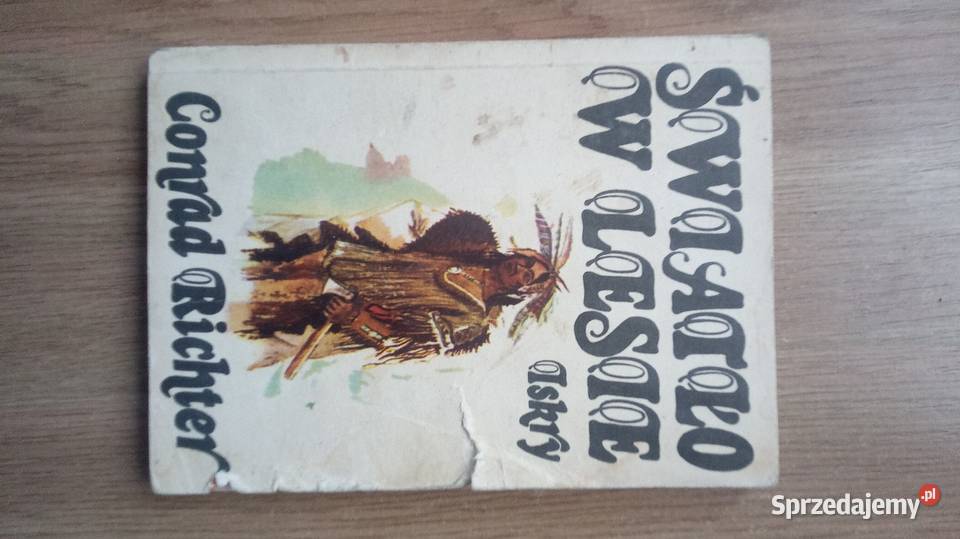 Światło w lesie Pozostałe Warszawa