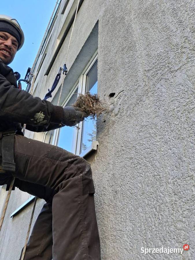 prace wysokościowe alpinista mycie malowanie Gorzów Wielkopolski