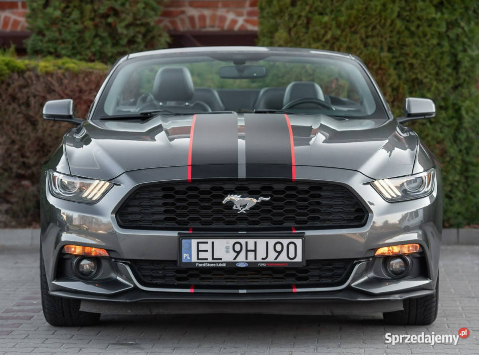 Ford Mustang Lift Cabrio 23i 317 Super Stan Zwoleń sprzedam