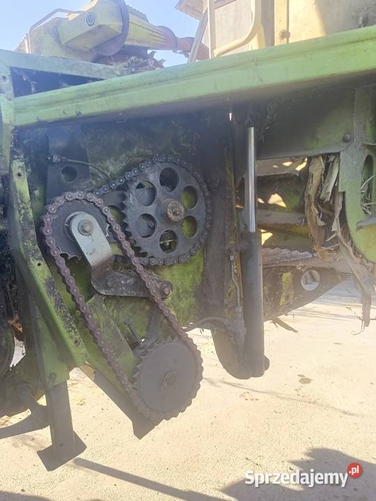 Claas ru 450 przystawka do kukurydzy Łobżenica